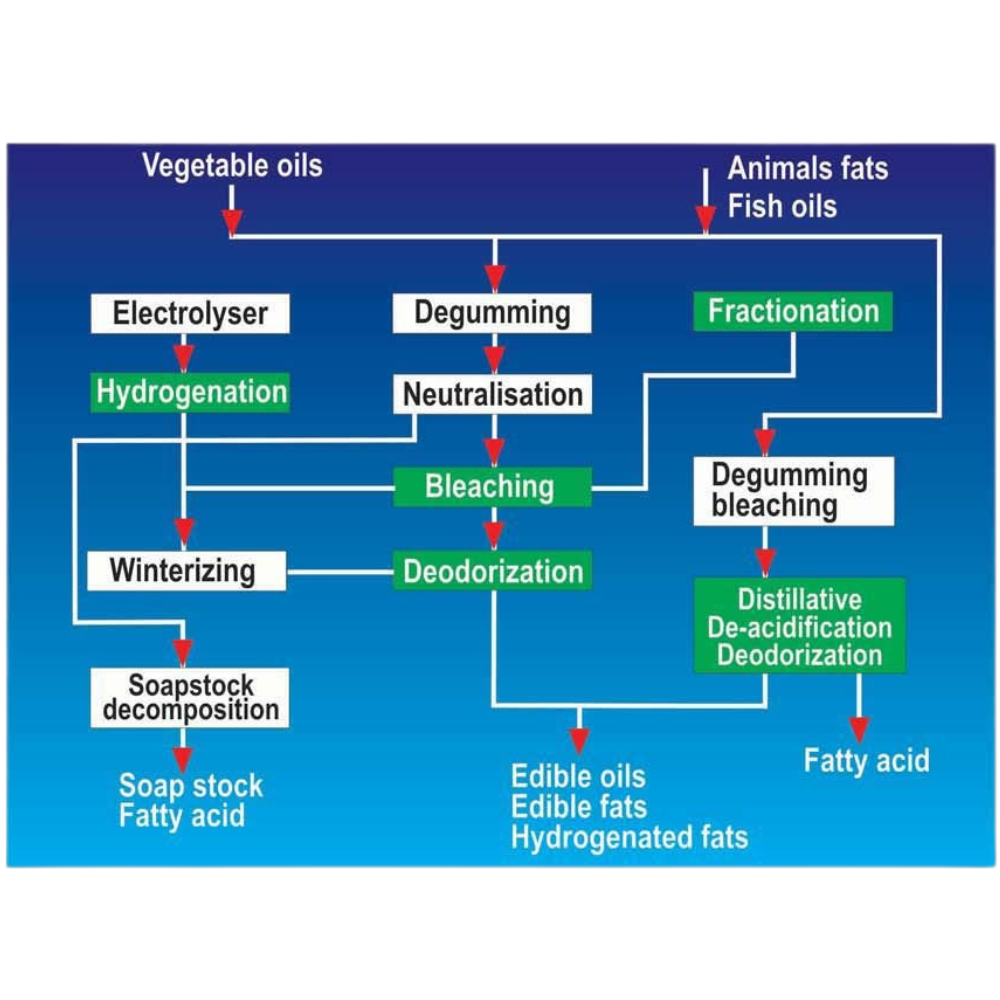 Edible oil chart